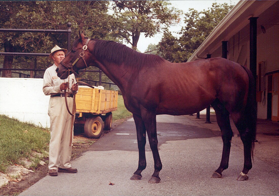 Mr. Prospector