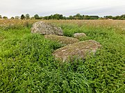 Nästegårdens gånggrift (2012)