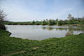 Čeština: Rybník Na Hájkách v Šebkovicích, okr. Třebíč. English: Na Hájkách pond in Šebkovice, Třebíč District.