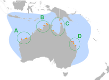 Around the coast of Australia, stretching to New Guinea and Java, excluding the southern coast