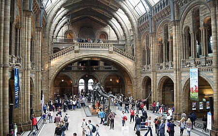 Tập_tin:Natural_History_Museum,_inside_ground_floor.jpg