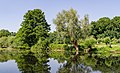 * Nomination Trees at the lake “Großer De Wittsee” in Nettetal --Carschten 08:43, 17 July 2020 (UTC) * Promotion  Support Good quality. --Aristeas 09:01, 17 July 2020 (UTC)