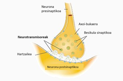 Neurotransmisore