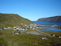 Vas Skarsvåg z nekaterimi najsevernejšimi drevesi na svetu