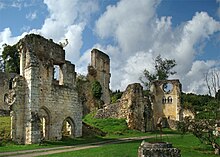 Photo de bâtiments en ruine entourés d'herbe