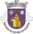 Vlag van Oliveira do Hospital