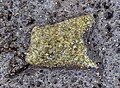 * Nomination olivine in basalt at the Fajã Beach, Azores. --The Cosmonaut 01:39, 3 July 2024 (UTC) * Withdrawn Interesting, but not sharp at all. Fixable? --Екатерина Борисова 02:42, 3 July 2024 (UTC) Yeah, it's too soft. --The Cosmonaut 03:58, 3 July 2024 (UTC)