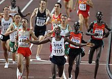 Osaka 2007 1500m final.jpg