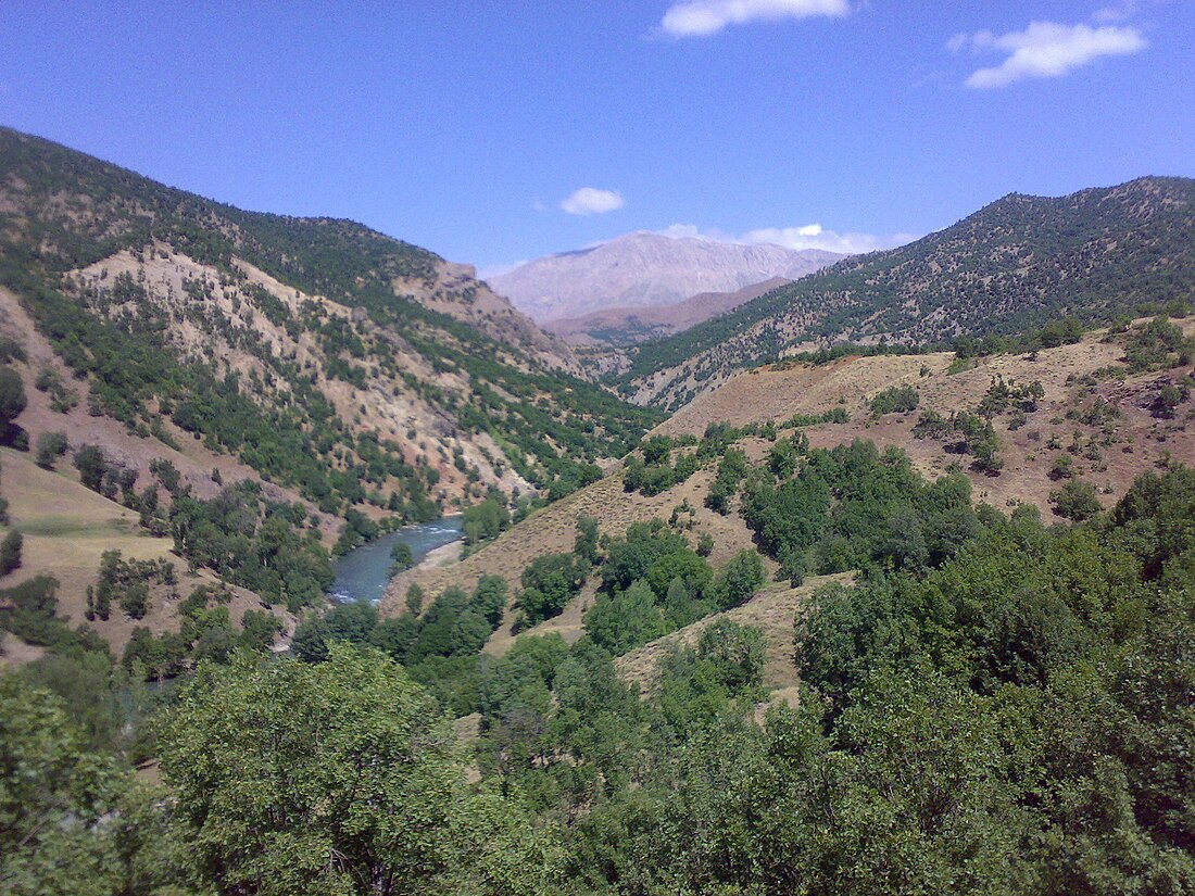 Foreste decidue dell'Anatolia orientale