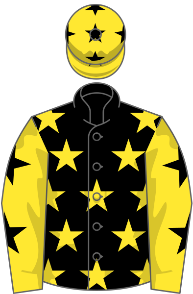 File:Owner Shanakiel Racing Syndicate.svg