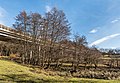 * Nomination Motorway bridge close to Sallacher Strasse in Sallach, Pörtschach am Wörther See, Carinthia, Austria --Johann Jaritz 02:59, 28 December 2018 (UTC) * Promotion  Support Good quality.--Famberhorst 05:50, 28 December 2018 (UTC)