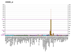 PBB GE HSD17B3 206985 в формате fs.png