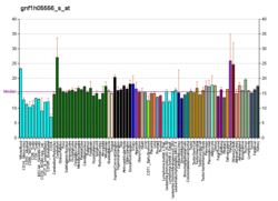 PBB GE OR8D4 gnf1h05556 s at fs.png