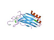 PDB 2cm5 EBI.jpg