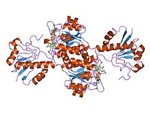 PDB 2dld EBI.jpg