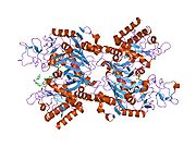 PDB 2gmv EBI.jpg