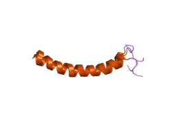 Cathelicidine