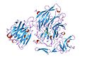 Thumbnail for Glycoside hydrolase family 33