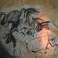 Μαλλιαροί ρινόκεροι (κέντρο και κάτω) μαζί με άουροχς και άλογα σε τοιχογραφία 31.000 ετών στο Σπήλαιο Σωβέ