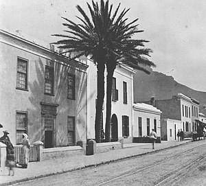 Palm-Tree-Moschee