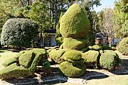 Topiary Garden by Pearl Fryar, Bishopville, South Carolina, U.S.