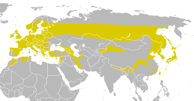 Global range in yellow