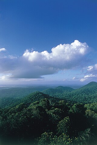 <span class="mw-page-title-main">Petites Montagnes Tortue Biological Reserve</span> Wilderness area in French Guiana