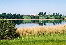 Blick über den Pfäffikersee auf Seegräben