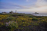Thumbnail for File:Piedras Blancas Outstanding Natural Area, part of the California Coastal National Monument (42648341671).jpg
