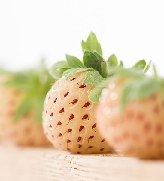 File:Pineberry.jpg