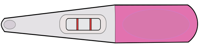 Download File:Pink pregnancy test.svg - Wikimedia Commons