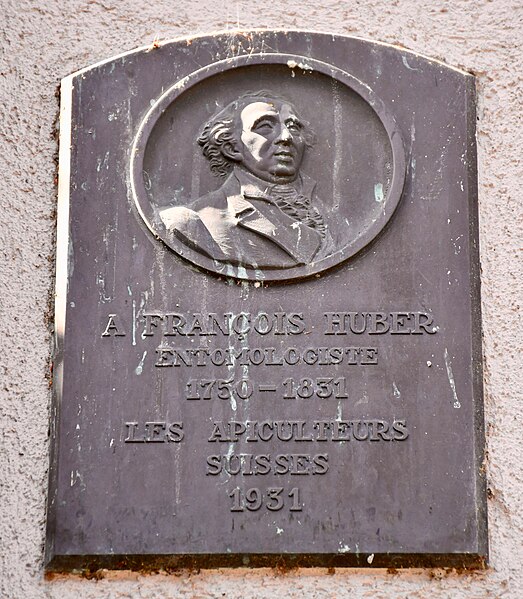 File:Plaque de François Huber.jpg