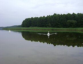 Poland. Gmina Jedwabno. Brajnickie Lake 003.JPG
