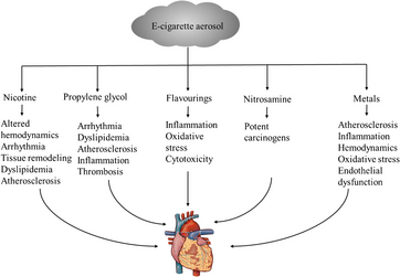 Diagram shows potential adverse cardiovascular effects induced by various constituents of e-cigarette aerosol.