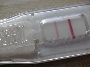 Pregnancy test.jpg