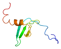 Протеин CBX1 PDB 1ap0.png