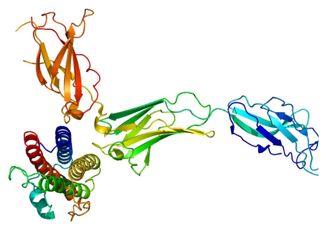 CD114