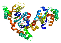 Ақуыз NME3 PDB 1zs6.png