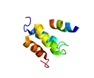 PEX19 Protein-coding gene in the species Homo sapiens