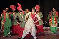 Punjabi Folk dance Gaidda Boliya and Bhangara 28.jpg