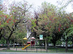 Juegos rodeados de ceibos en la Plaza Loreto