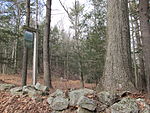 Quinebaug Woods