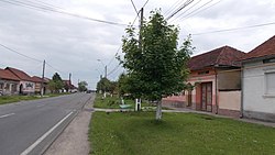 Skyline of Ваља Бистреј