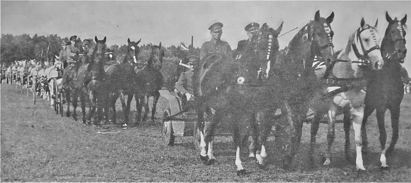 File:Racot horses 1966 (2).jpg