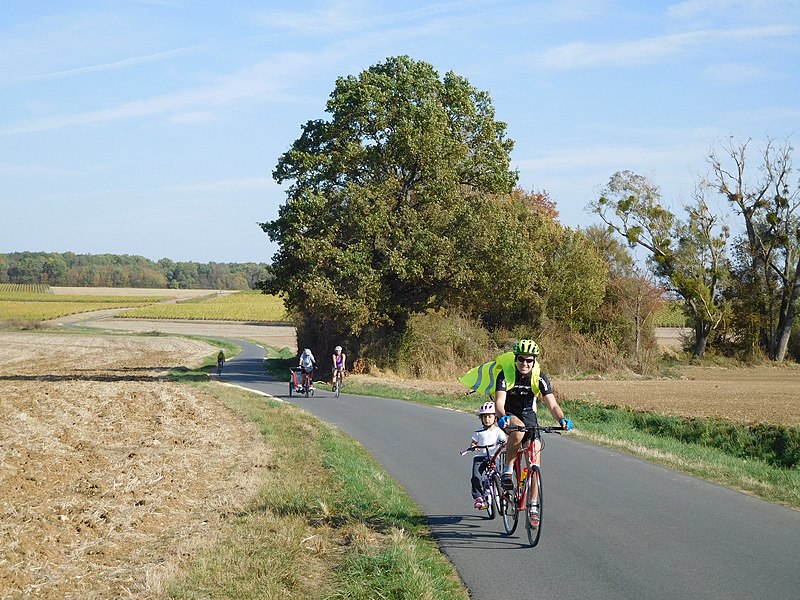 File:Rallye des Vignobles 2018, 12, cyclotouristes.jpg