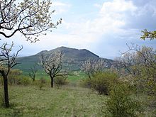 Verwilderte Obstplantage am Oblík mit Blick zur Raná