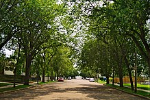 A residential street in North Battleford Residential Street North Battleford.jpg