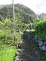 Ribeira Funda, Seixal, Madeira - 2016-05-22 - IMG 2511.jpg