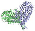 Deutsch: R2-Untereinheit der Ribonukleotidreduktase aus E. coli English: R2-subunit of the ribonucleotide reductase from E. coli