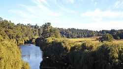 Rio Negro desde Pte Chapaco.JPG